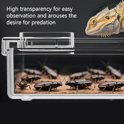 Reptile Food Dish Bearded Dragon Water Bowl | Reptile Amphibian Habitat Feeders for Leopard Cage Tank Terrarium Enclosure Frog Lizard Gecko