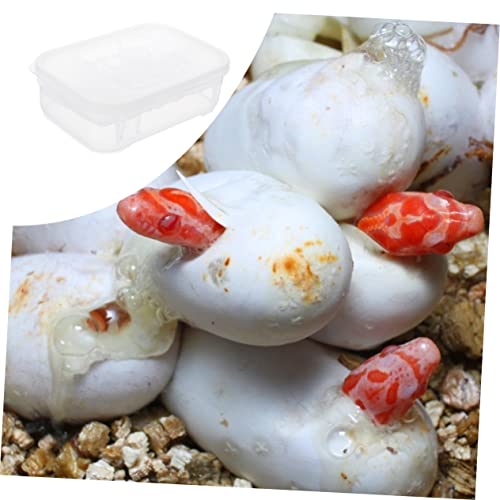 Reptile Hatching Box Transparent Incubation Hatchery for Lizard and Two Design for Eggs Lightweight and Durable Incubator for Reptile Breeding
