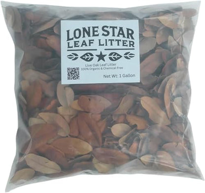 Texas Live Oak Leaf Litter for Reptiles, Bioactive Substrate, Leaf Litter for Isopods, Natural Habitat Enrichment, Terrariums and Vivariums, (1 Gallon) - size: 1 gallon - standard