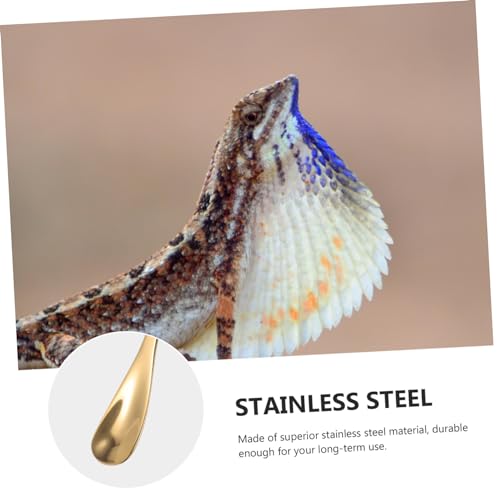 YARNOW 2pcs Sturdy Reptile Food Spoon Small Pet Feeding Tool for Lizard and Turtle Stainless Steel Easy to Use