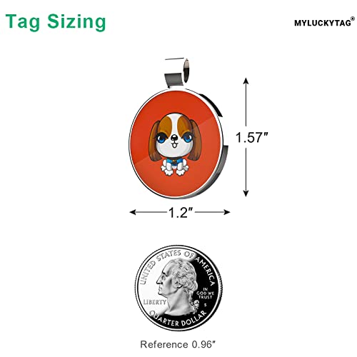 MYLUCKYTAG QR Code Pet ID | Personalized Dog & Cat Collar Tag | Online Profile with Instant Scanned Location Alert Email - style: Little Girl