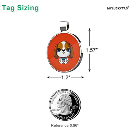 MYLUCKYTAG QR Code Pet ID | Personalized Dog & Cat Collar Tag | Online Profile with Instant Scanned Location Alert Email - style: Little Girl