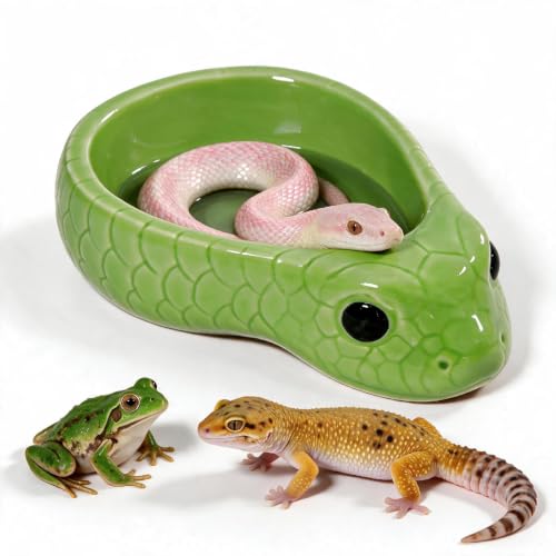 Reptile Water Dish, Ceramic Snake Water Bowl, Cyan - color: Cyan