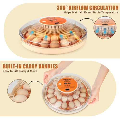 ZEMIRO CHARGE Serie II - 30 Egg Incubator for Experienced Hands-On Hatchers, Auto Egg Turn, Manual Humidity Control (Water Fill), Temperature Control, Real-Time Display, Egg Candler - size: 30-Egg Orange