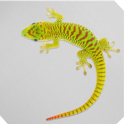 Reptile Terrarium Carpet EVA Mat Soft Breathable Flooring for Snake Tortoise Lizard Bearded Dragon Tank Bedding Liner with Tailored Gray