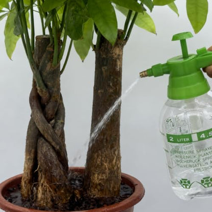 2L Handheld Garden Pump Sprayer 0.5 Gallon Water Mist Spray Bottle for Plants with Adjustable Brass Nozzle Orange (2L Green) - color: 2L Green
