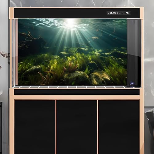 Underwater Aquarium Background Under The Sea Aquatic Grass with Sunbeams Terrarium Background Underwater Rocks with Moss Fish Tank Background Tranquil Natural Underwater Seascape Backdrop 24x12in - color: Oecan Dark Green, size: 24(W)x12(H)in