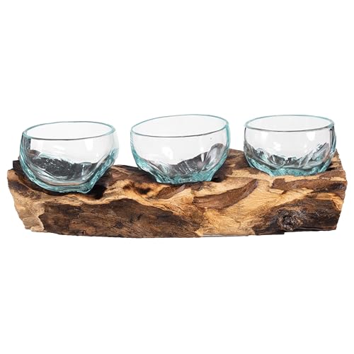 Cape Craftsmen Set of 3 Terrariums | Hand-Blown Blue Tinted Bubble Glasses On Natural Teak Driftwood Terrarium | Home Décor Indoor Planter with Stand | Glass Clear Pots for Succulent and Plants - size: Set of 3 (With Stand)