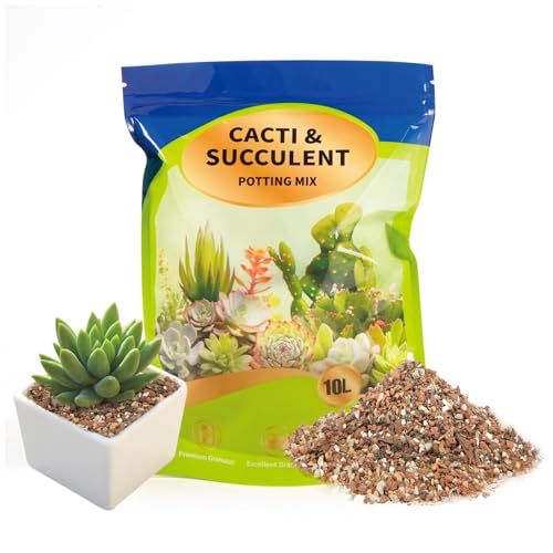 Succulent & Cactus Soil Potting Mix 10qt, Chunky Dirt with Fast Draining Fits for Bonsai, Terrarium and Houseplant - color: Succulent & Cactus Soil, size: 10qt