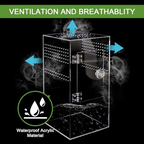 Spider Terrarium Kit, Jumping Spider Enclosure with Hideout, Rope Bridge, Ledge Ladder, Micro Habitat Terrarium for Small Tree Dwelling Reptiles, Arboreal Tarantula Enclosure (6x6x12 Inches) - size: 6x6x12 Inches
