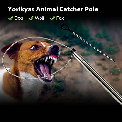 Yorikyas Animal Catch Pole Control Tool Kit -44 inch | for Dogs Feral Cat Raccoons Hog Pig Fox Coyote Bulldog Wolf Goat Calf Catching