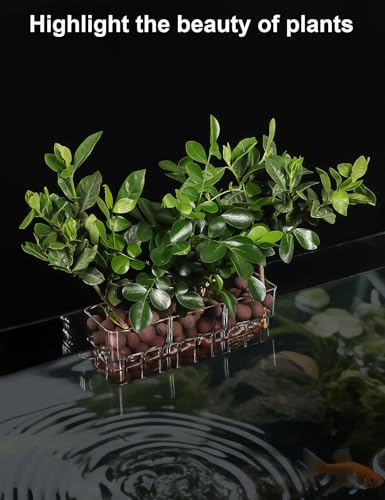 1 Pack Clear Aquarium Plant Holder Top Hanging Fish Tank Plant Holders Fits up to 0.8in Tank Edges, Aquarium Décor - color: Rectangle-White