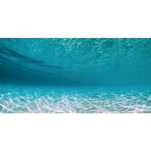 AWERT 24x12 inches Undersea Aquarium Background Pool Ocean Floor Aquarium Background Underwater Fish Tank Background - size: 24x12in/60x30cm