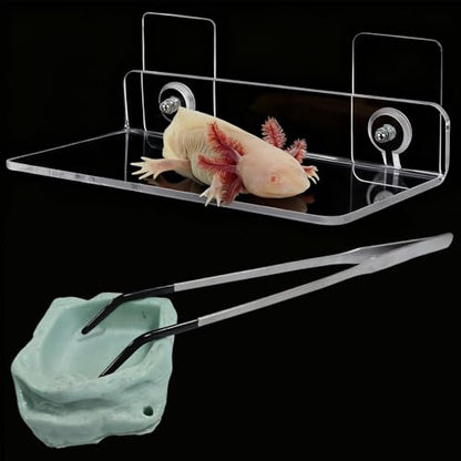 Axolotl Hammock Ledge for Aquarium with Feeding Dish and Feeding Tweezers，Axolotl Hammock with Ceramic Tray Feeder Bowl, Axolotls Accessories for Tank, Bearded Dragon Tank Accessories (7.8x3.9in)