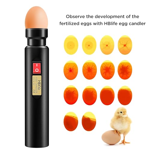 HBlife Egg Candler Wireless Rechargeable LED Bright Cool Light, Egg Candler Tester for Monitoring Eggs Development with 2 Soft Rubber - style: Classic