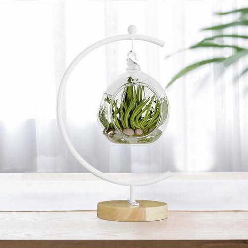 YY YEARCHY Ornament Display Stand Large Metal Air Plant Flower Pot Holder Iron Pothook for Hanging Glass Terrarium Globe Ball - color: White