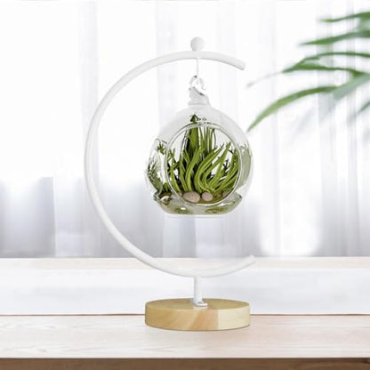 YY YEARCHY Ornament Display Stand Large Metal Air Plant Flower Pot Holder Iron Pothook for Hanging Glass Terrarium Globe Ball - color: White