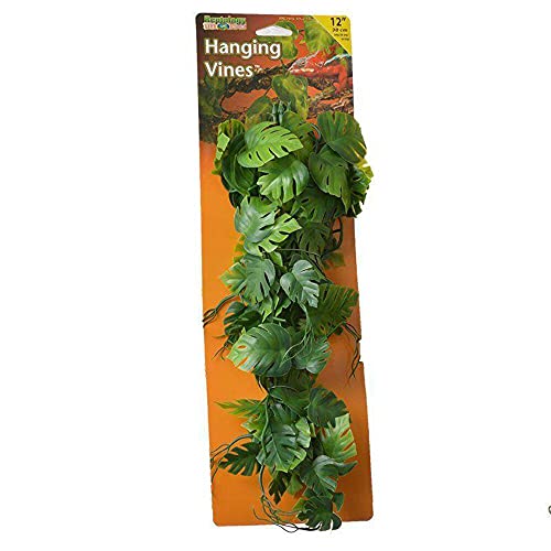 Penn-Plax Reptology Decorative Hanging Terrarium Plant Vines for Reptiles and Amphibians – 12” Length – Green - color: Green