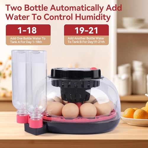 12 Egg Incubators for Hatching Eggs, Chicken Egg Incubator with Automatic Egg Turning and Temperature Humidity Control, 360° Clear View Lid or Home, Farm, Classroom, Hatching Chicken, Duck,Quail,Goose - size: 12 Egg Incubators