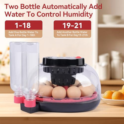 12 Egg Incubators for Hatching Eggs, Chicken Egg Incubator with Automatic Egg Turning and Temperature Humidity Control, 360° Clear View Lid or Home, Farm, Classroom, Hatching Chicken, Duck,Quail,Goose - size: 12 Egg Incubators