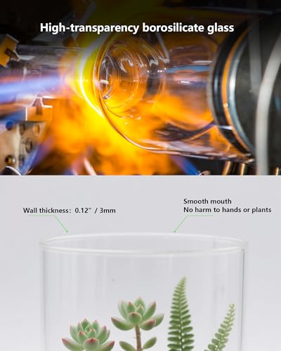 Desktop Glass Terrarium with Grow Light (7.5" H x 5.9" D) - for Succulents, Moss, Mini Gardens, Betta Fish Tanks, Mushroom Cultivation | Indoor Plant Growth | Office/Home Decor | Plant Lover Gifts - size: 7.5”