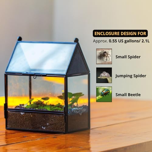 NCYP Small Glass Enclosure with Mesh for Jumping Spiders - 5.8" x 3.8" x 7" Micro House Shaped Small Spiders Vented Glass Terrarium, Home Decor Black (Glass Terrarium Only) - size: 5.8" x 3.8" x 7"