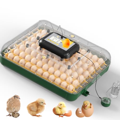63 Egg Incubator for Hatching Eggs with Auto Egg Turning, High Precision Temperature & Humidity Display, Hatch Day, Egg Candler, Upgraded Motor, Incubator for Hatching Chickens, Higher Hatch Rate - color: Dark Green, size: L- 63 Chicken Eggs