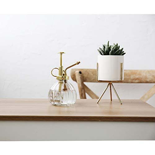 Plant Mister, 6.5" Tall Decorative Glass Water Spray Bottle with Gold Top Pump Small Watering Can by Ebristar - Clear - color: Clear+Gold N