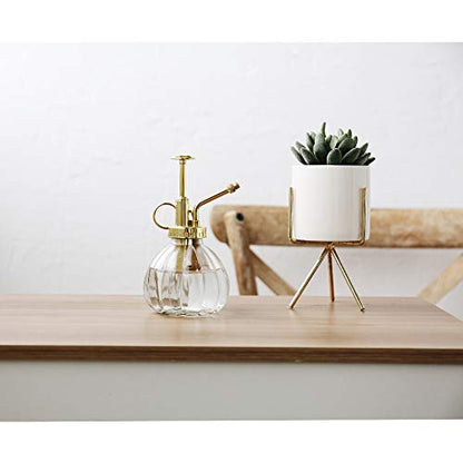Plant Mister, 6.5" Tall Decorative Glass Water Spray Bottle with Gold Top Pump Small Watering Can by Ebristar - Clear - color: Clear+Gold N