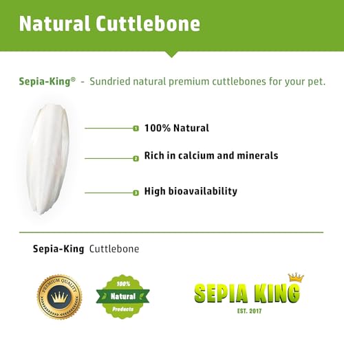 Sepia King - Extra Large - 100% Natural Calcium Supplement - Premium Cuttlebone Perfect for Birds, Tortoises, Snails, Reptiles - Pack of 3