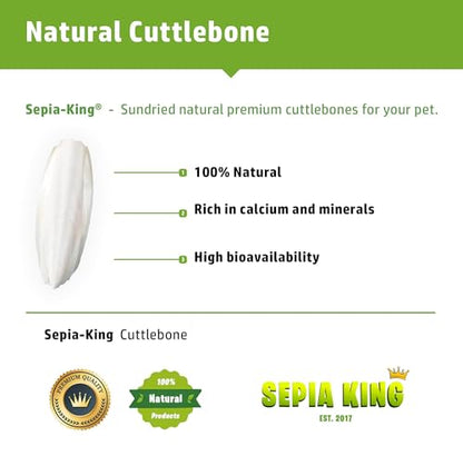 Sepia King - Extra Large - 100% Natural Calcium Supplement - Premium Cuttlebone Perfect for Birds, Tortoises, Snails, Reptiles - Pack of 3