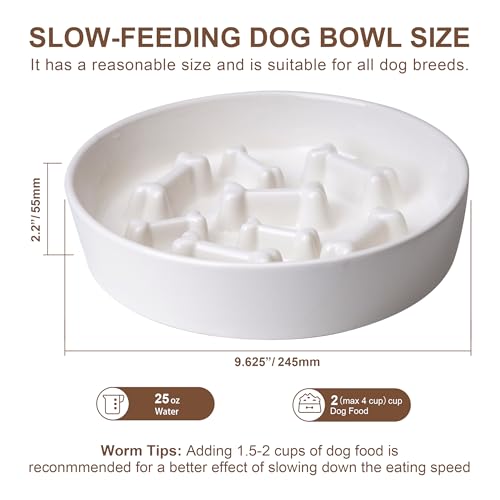 Ceramic Slow Feeder Dog Bowls, Ceramic Slow Feeder Maze Dog Food Bowl, Slow Eating Dog Bowl and Slow Feeder Dog Bowl Anti-Choking for Daily Pet Feeding （White Bone） - color: White Bone