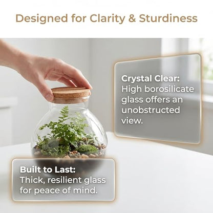 Glass Terrarium Bottle with Cork Lid: Round Borosilicate Jar for DIY Microlandscape - Clear Plant Display Container Moss Holder Tabletop Storage Canister