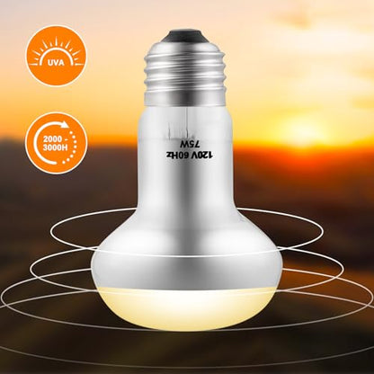 2 Pack 75W Reptile Heat Lamp Reptile Heat Bulbs | UVA Basking and Infrared Light Bulb Combo, Basking Light for Bearded Dragon, Turtles, Snake and Lizard - style: 75W Day & Night Heat Lamp
