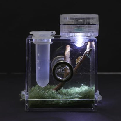 ibasenice Jumping Spider Cage with Lamp Transparent Small Spider Habitat Box 2.16X1.96X1.96 Inch Compact Jumping Enclosure for Feeding and Observation - color: Transparent
