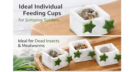 3 Pcs Magnetic Jumping Spider Feeding Dish Jumping Spider Enclosure Accessories Star-Shaped Design Reptile Water Bowl for Other Small Reptiles or Insects - color: 3 Five-Pointed Star Food Bowls