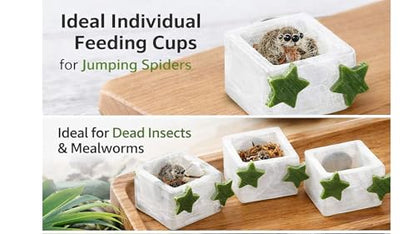 5Pcs Jumping Spider Enclosure Accessories with Hammock, Magnetic Climbing Rope, Resting Ledge Platforms and Feeding Dish Bowl & Hook for Terrarium Habitat (5Pcs Combination Kit) - color: 5Pcs Combination Kit