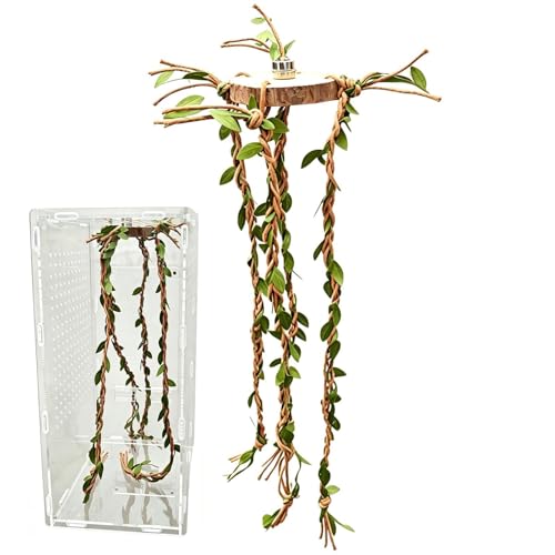 Jumping Spider Climbing Decor - 60g Reptile Cage Vines Enrichment | Comfortable Jumping Spider Enclosure Decor for Snakes Ball Pythons Chameleons Mantis Gecko Tortoise Frog Bearded Dragon