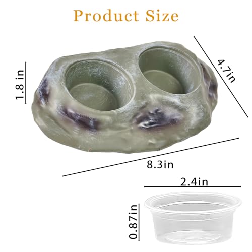 Tfwadmx Magnetic Reptile Feeder Ledge, Gecko Feeder Ledge with 4 Cups Reptile Feeding Bowl Terrarium Accessories for Geckos Lizards Chameleons Frog (White) - color: White