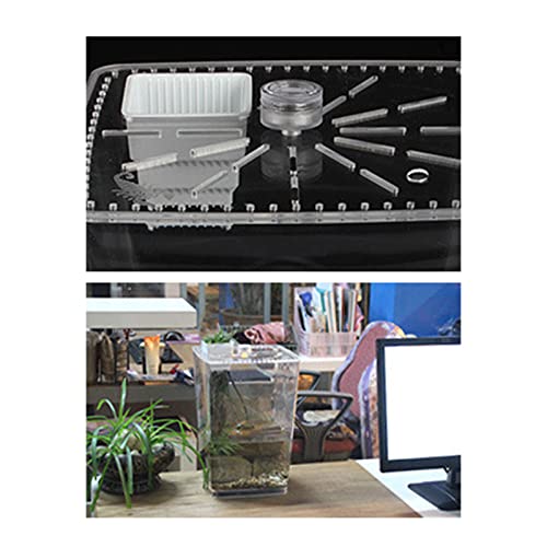Acrylic Clear Reptile Terrarium Enclosure Cage, Reptile Breeding Box Lizard Spider Tank Climbing Pet Box with LED Light