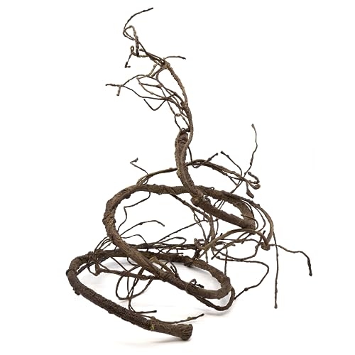 Pangea Reptile Ultimate Vine for Terrarium Habitat (Brown) | 6 ' Long Large Diameter Foam Vine for Reptile Enclosures, Bendable, Humidity Resistant, Bendy Offshoot Branches - color: Brown