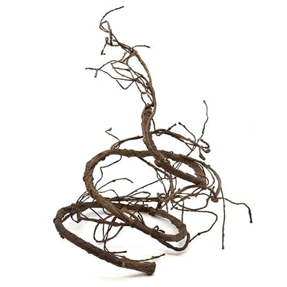 Pangea Reptile Ultimate Vine for Terrarium Habitat (Brown) | 6 ' Long Large Diameter Foam Vine for Reptile Enclosures, Bendable, Humidity Resistant, Bendy Offshoot Branches - color: Brown