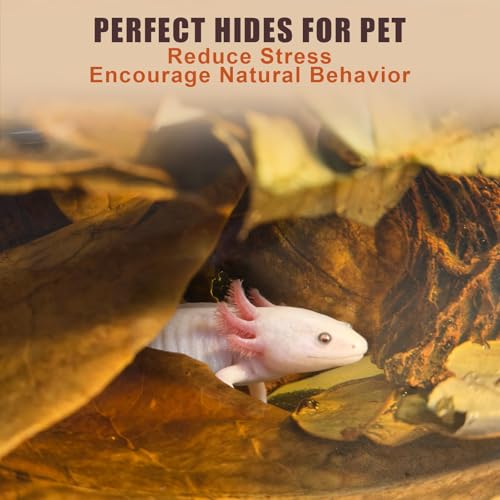 Indian Almond Leaves for Betta Fish,10Pcs Catappa,20Pcs Oak Leaves & 30Pcs Longan,Aquarium Water Conditioner Leaf,pH Balancing Water Conditioner Leaf for Betta Fish,Shrimp,Frogs,Axolotl Tanks