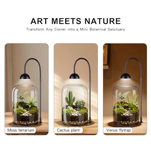 Glass Plant Terrarium, LED Grow Light, Adjustable Ventilation | 8.2" borosilicate body, US plug adapter and guide, for Venus fly traps, moss and succulents, plants and soil not included