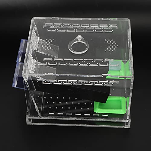 SUNGOOYUE Cricket Keeper Box, Acrylic Feeding Box with Water Food Tub, Clear Ventilated Lid and Waste Tray, 15x10x10cm for Reptile Terrarium Breeding Home Office (Large Size) - size: Large Size