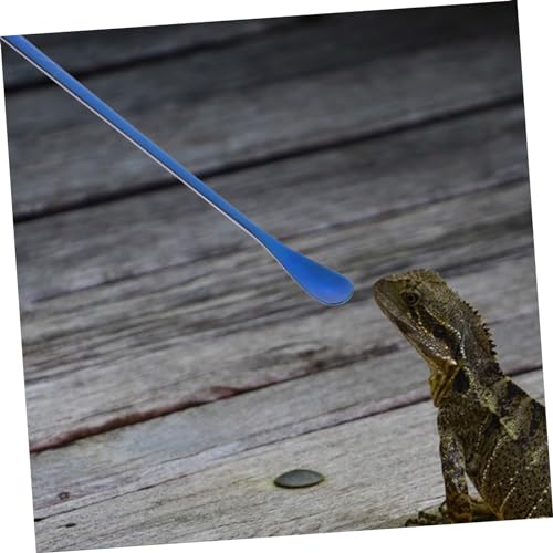 BESPORTBLE 2pcs Versatile Small Animal Feeding Spoon Long Handle for Reptile Accessories - color: Blue