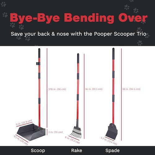 Pooper Scooper for Dogs, Heavy Duty Long Handle Rake, Spade & XL Tray | Rustproof Aluminum Poop Scooper for Large Dogs, 36+" Handles and 9”W 9.5”L Extra Large Tray for Yard, Grass, Dirt & Gravel - color: 3 Piece Set - X Large