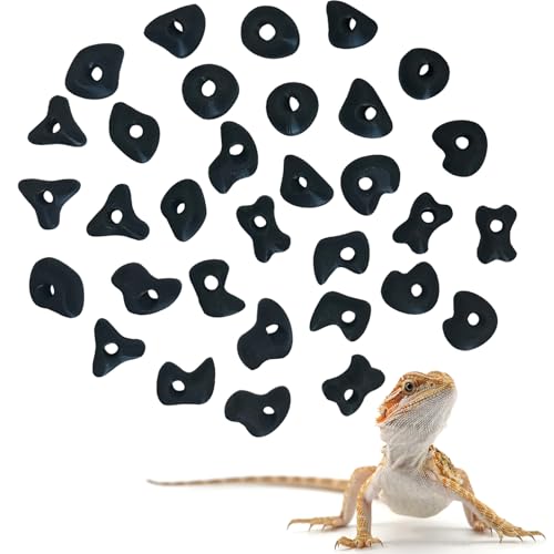 32PCS Rock Climbing Holds for Bearded Dragons Climbing Rock Wall Grips for Bearded Dragons Tank Accessories Reptiles Toy Rock Wall Holds (Not Glue) - color: Black