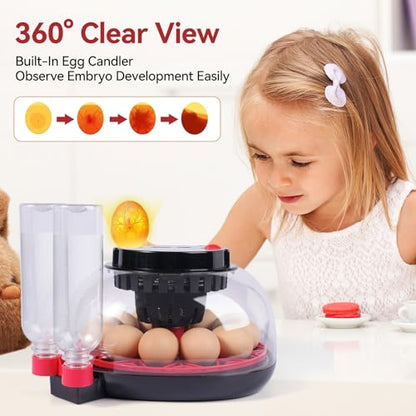 12 Egg Incubators for Hatching Eggs, Chicken Egg Incubator with Automatic Egg Turning and Temperature Humidity Control, 360° Clear View Lid or Home, Farm, Classroom, Hatching Chicken, Duck,Quail,Goose - size: 12 Egg Incubators