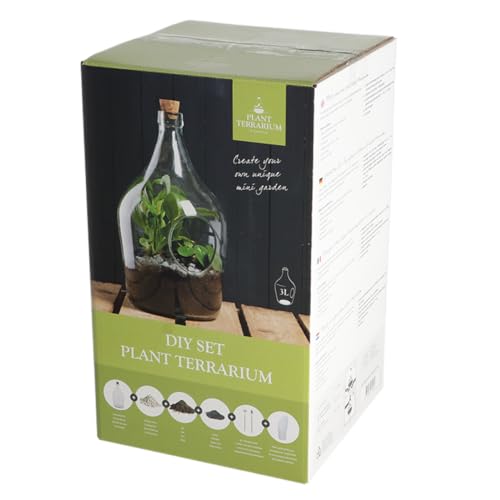 eeschert Design - 3 Litre DIY Plant Terrarium